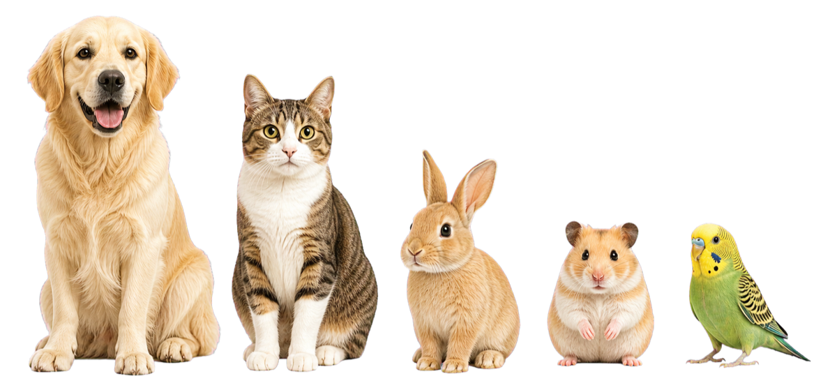 犬、猫、うさぎ、ハムスター、鳥