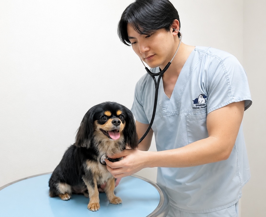 診察の様子