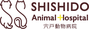 江戸川区小岩・新小岩・篠崎・平井エリアの動物病院　宍戸動物病院の画像 宍戸動物病院ホームへ