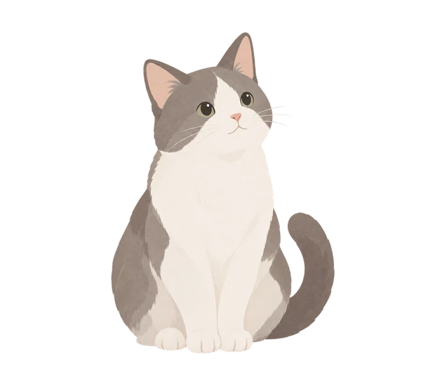 猫のイラスト。気になる部位は周囲の文字から選べます。