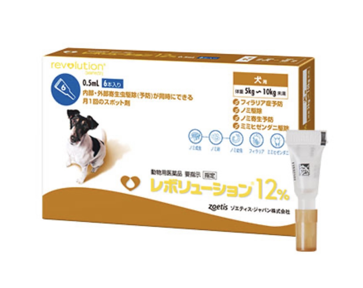レボリューション
